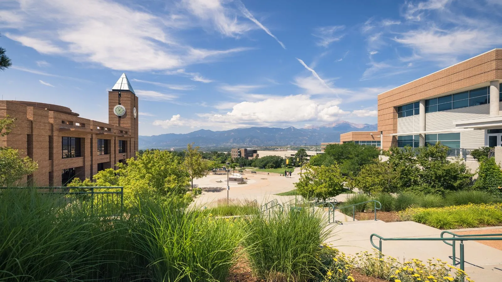 College of Business
