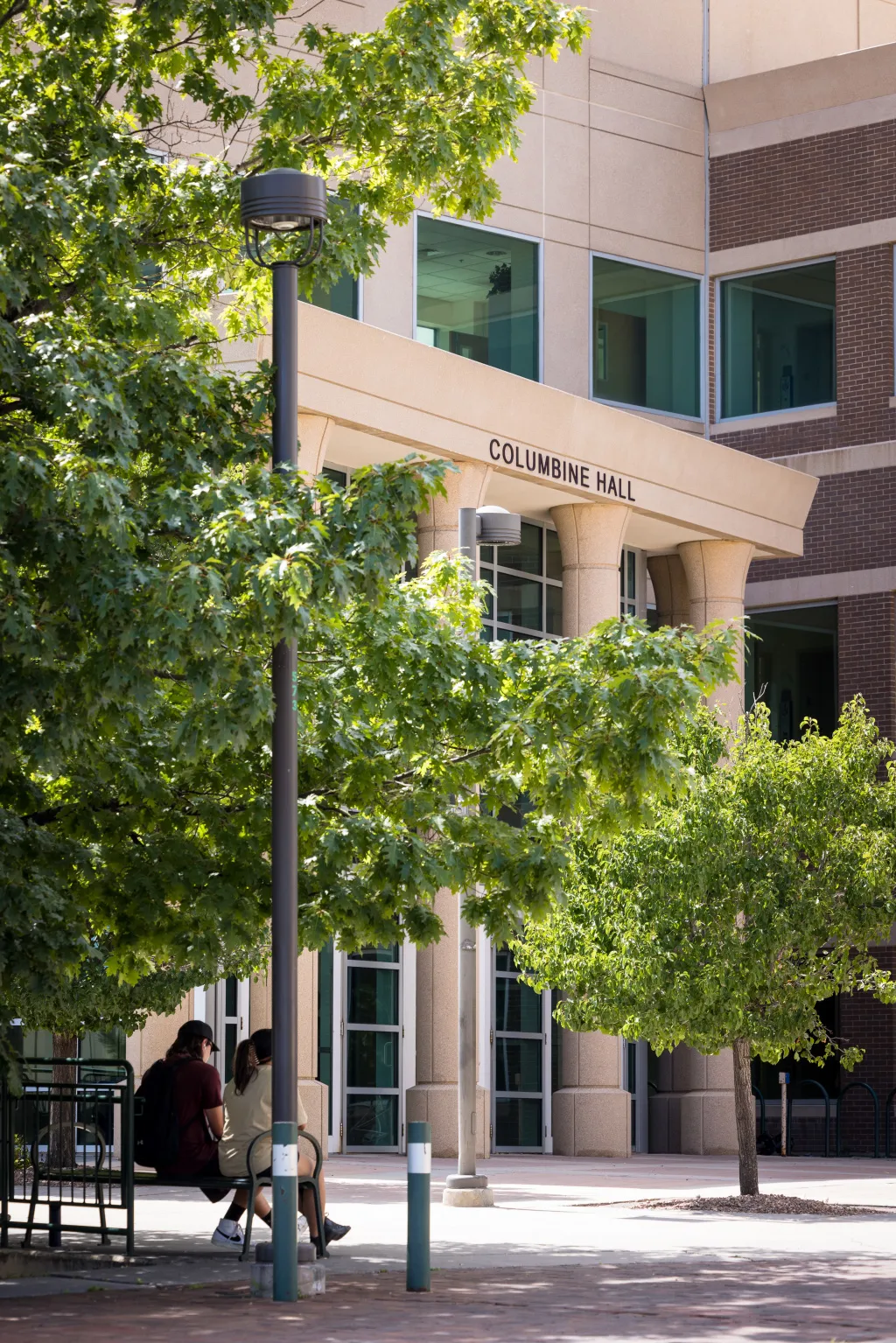 Tree in summer in front of Columbine Hall with two people sitting on bench.